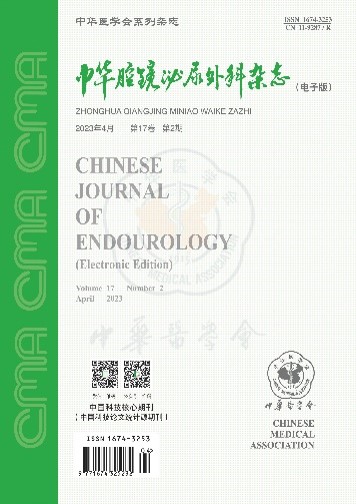 中华腔镜泌尿外科杂志(电子版)