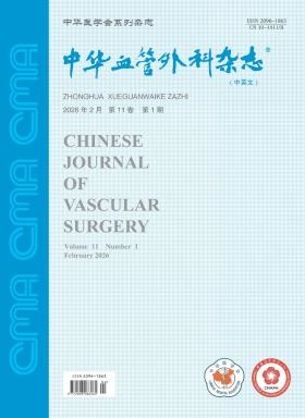 中华血管外科杂志(中英文)