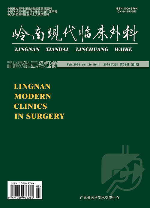 岭南现代临床外科